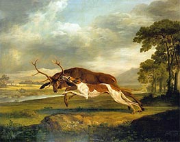 Hound Coursing a Stag, c.1762 by George Stubbs | Canvas Print