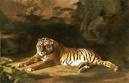 Portrait of the Royal Tiger, c.1770 von George Stubbs | Leinwand Kunstdruck