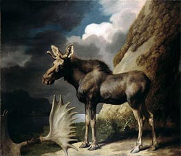 Moose, 1770 von George Stubbs | Leinwand Kunstdruck