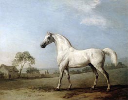 Mambrino | George Stubbs | Painting Reproduction