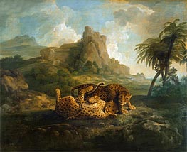 Leopards at Play, c.1763/68 von George Stubbs | Leinwand Kunstdruck