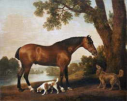A Bay Hunter, a Springer Spaniel and a Sussex Spaniel | George Stubbs | Gemälde Reproduktion