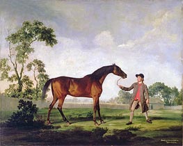 The Duke of Ancaster's Bay Stallion 'Spectator', Held by a Groom, c.1762/65 von George Stubbs | Leinwand Kunstdruck