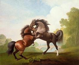 Horses Fighting, 1791 von George Stubbs | Leinwand Kunstdruck