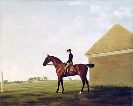 Turf | George Stubbs | Painting Reproduction