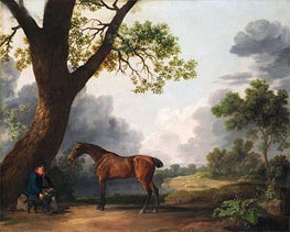 Der dritte Herzog von Dorset Hunter mit einem Bräutigam und ein Hund | George Stubbs | Gemälde Reproduktion