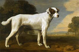 Viscount Gormanston den weißen Hund, 1781 von George Stubbs | Leinwand Kunstdruck