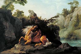 Pferd von einem Löwen gefressen, 1763 von George Stubbs | Leinwand Kunstdruck