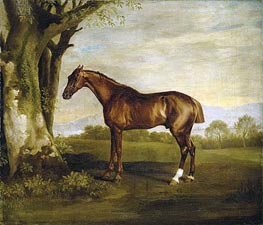Antinoüs, a Chestnut Racehorse in a Landscape | George Stubbs | Painting Reproduction