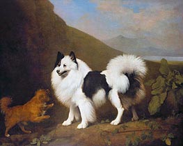 Fino and Tiny | George Stubbs | Painting Reproduction