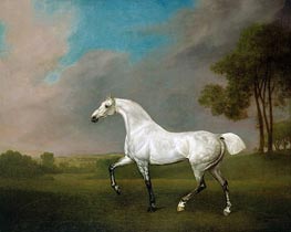 Ein graues Pferd, 1793 von George Stubbs | Leinwand Kunstdruck