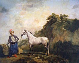 Gray Arabian with a Groom | George Stubbs | Painting Reproduction