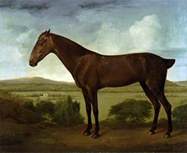 Brown Horse in a Hilly Landscape | George Stubbs | Painting Reproduction