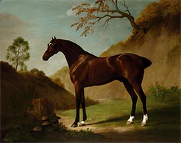 A Dark Bay thoroughbred in a Landscape | George Stubbs | Painting Reproduction
