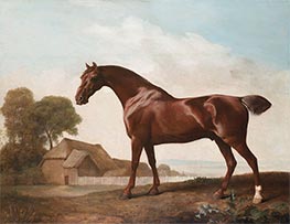 A Chestnut Thoroughbred before a Barn in an Open Landscape, c.1762/68 by George Stubbs | Art Print
