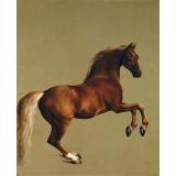 Whistlejacket, 1762 - George Stubbs