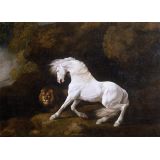 A Horse Frightened by a Lion (Detail), 1770 - George Stubbs