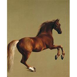 Whistlejacket - George Stubbs