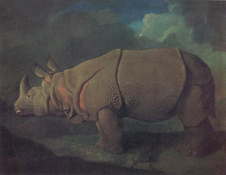 Rhinoceros, c.1790/91 | George Stubbs | Giclée Canvas Print