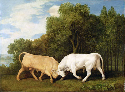 Bulls Fighting, 1786 | George Stubbs | Giclée Leinwand Kunstdruck