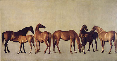 Mares and Foals without a Background, c.1762 | George Stubbs