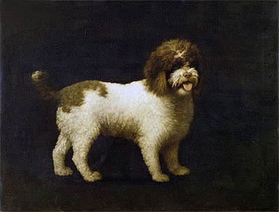 Ein Wasserspaniel, 1769 | George Stubbs