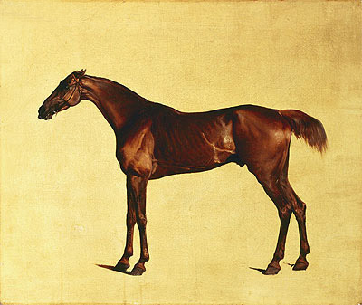 Rufus (Pangloss), c.1762/65 | George Stubbs