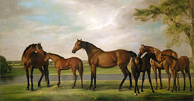 Stuten und Fohlen durch einen herannahenden Sturm gestört, c.1764/66 | George Stubbs