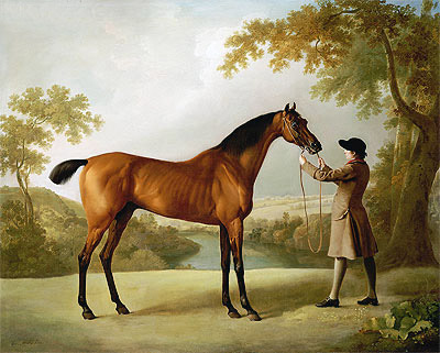 Tristram Shandy, a Bay Racehorse Held by a Groom in an Extensive Landscape, c.1760 | George Stubbs | Giclée Leinwand Kunstdruck