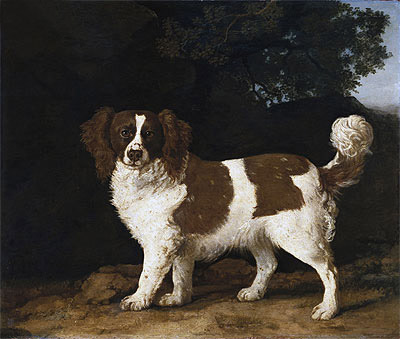 Fanny, the Favourite Spaniel of Mrs. Musters, Standing in a Wooded Landscape, 1777 | George Stubbs | Giclée Canvas Print