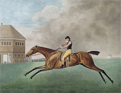Baronet, 1794 | George Stubbs | Giclée Papier-Kunstdruck