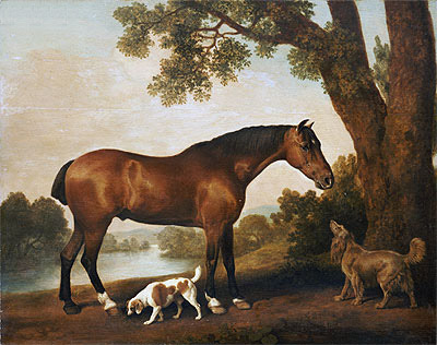 A Bay Hunter, a Springer Spaniel and a Sussex Spaniel, 1782 | George Stubbs | Giclée Leinwand Kunstdruck