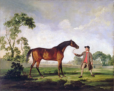The Duke of Ancaster's Bay Stallion 'Spectator', Held by a Groom, c.1762/65 | George Stubbs | Giclée Leinwand Kunstdruck
