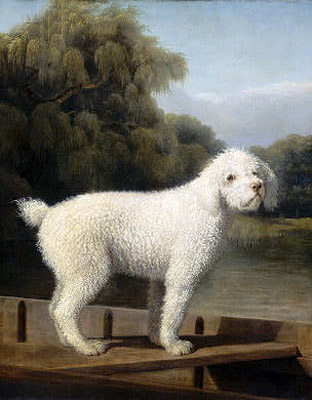 White Poodle in a Punt, c.1780 | George Stubbs | Giclée Canvas Print