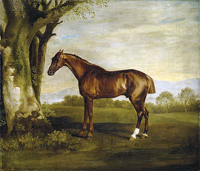Antinoüs, a Chestnut Racehorse in a Landscape, n.d. | George Stubbs | Giclée Leinwand Kunstdruck