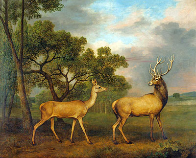 Red Deer, a Buck and a Doe, 1792 | George Stubbs | Giclée Canvas Print