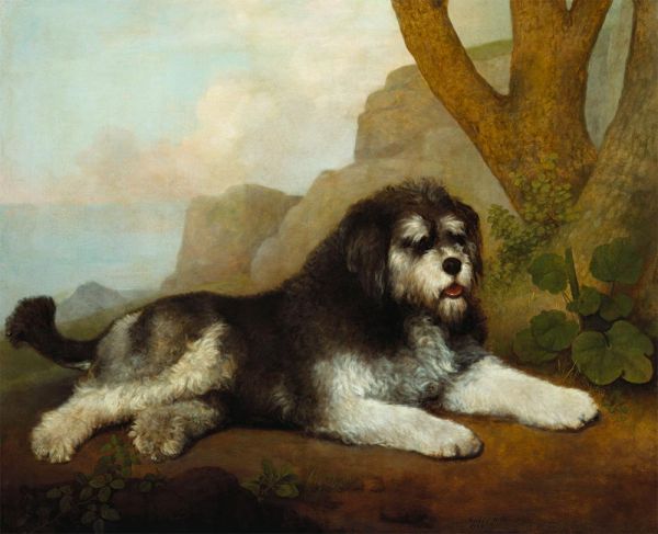 A Rough Dog, 1790 | George Stubbs | Giclée Leinwand Kunstdruck