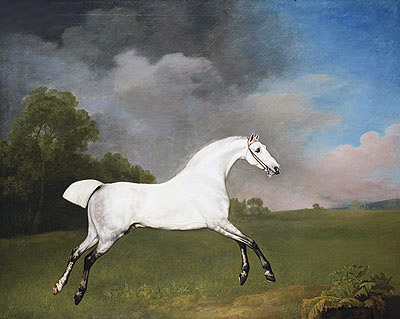 Ein graues Pferd, 1793 | George Stubbs | Giclée Leinwand Kunstdruck