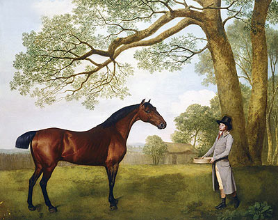 John Gascoigne with a Bay Horse, 1791 | George Stubbs | Giclée Leinwand Kunstdruck