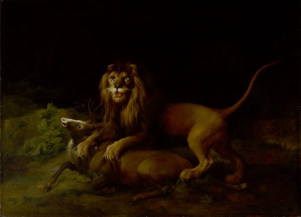 A Lion Attacking a Stag, c.1765/66 | George Stubbs | Giclée Canvas Print