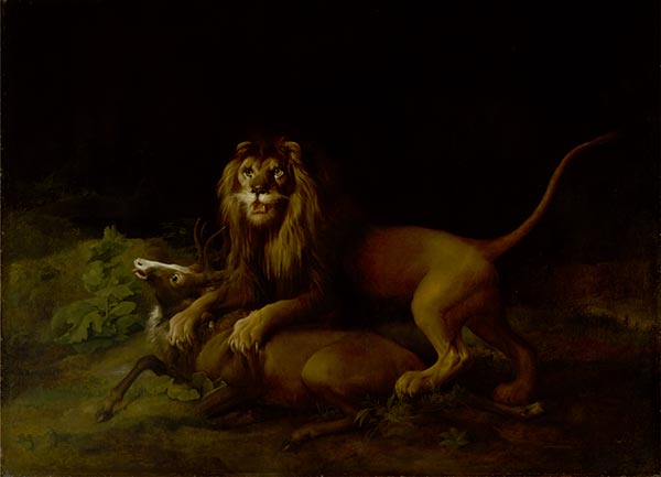 Ein Löwe greift einen Hirsch an, c.1765/66 | George Stubbs