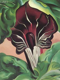 O'Keeffe | Jack in the Pulpit II, 1930 | Giclée Canvas Print