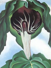 O'Keeffe | Jack in the Pulpit III | Giclée Canvas Print