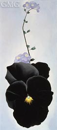 O'Keeffe | Pansy, 1926 | Giclée Canvas Print