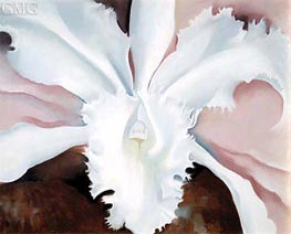 Narcissa's Last Orchid | O'Keeffe | Painting Reproduction