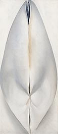 Geschlossene Muschel, 1926 von O'Keeffe | Leinwand Kunstdruck
