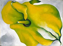Gelbe Calla, 1926 von O'Keeffe | Leinwand Kunstdruck