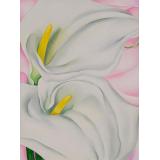 Two Calla Lilies on Pink, 1928 - O'Keeffe