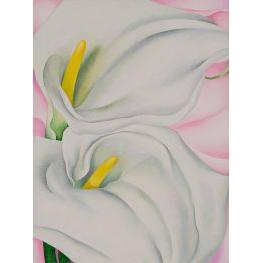 Two Calla Lilies on Pink - O'Keeffe