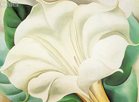 White Trumpet Flower, 1932 | O'Keeffe | Giclée Canvas Print